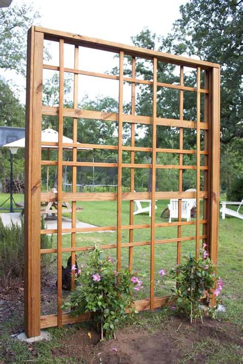 35 DIY Trellis Ideas To Spruce Up Your Garden