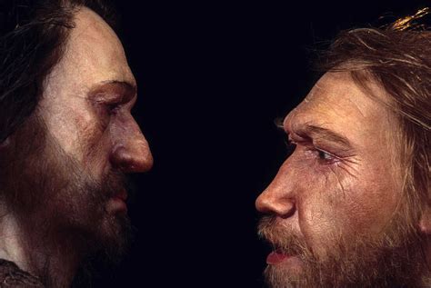 Neanderthal Face Reconstruction