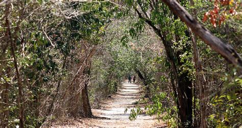 MADAGASCAN Tropical & Subtropical Dry Broadleaf Forest