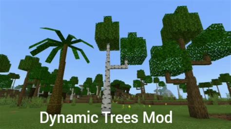 👉Dynamic Trees Mod Pará Minecraft Pe - YouTube