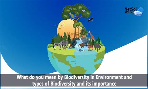 What do you mean by biodiversity in environment & its types