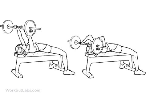 Flat Bench Barbell Skull Crushers | WorkoutLabs