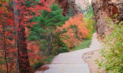 Refrigerator Canyon, Zion National Park - AllTrips