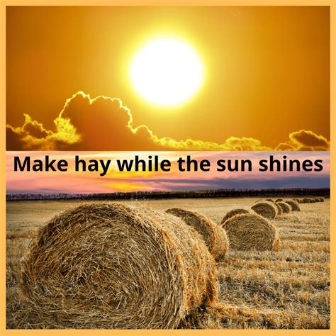 Make Hay While The Sun Shines - JohanShailin