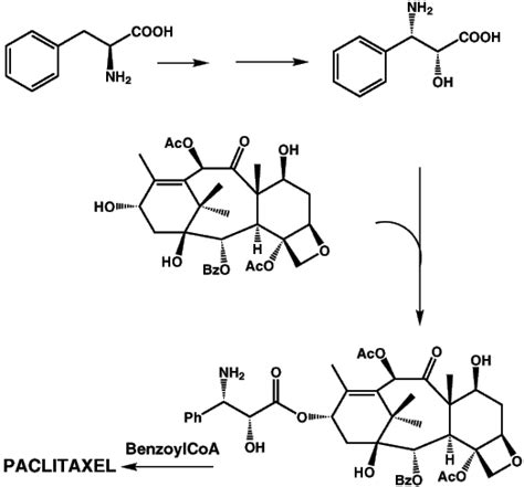 Taxol