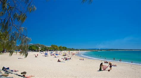 Visit Noosa Heads: Best of Noosa Heads, Sunshine Coast Travel 2024 ...