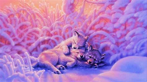 Cute Galaxy Wallpaper Wolf Super photography fantasy magic galaxies ideas photography