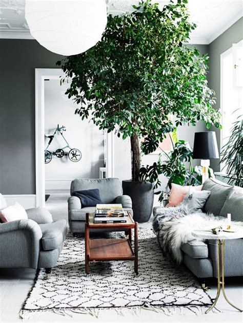 10 Beautiful Ways To Decorate Indoor Plant in Living Room
