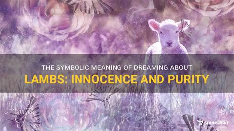 The Symbolic Meaning Of Dreaming About Lambs: Innocence And Purity | ShunSpirit