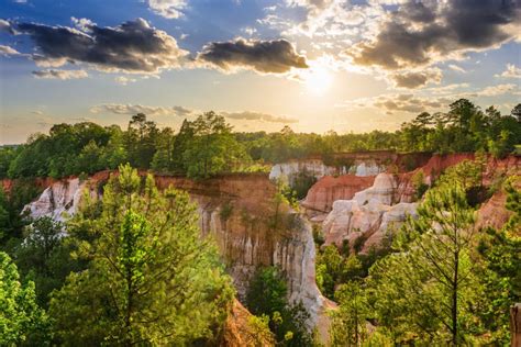 The Secrets of Providence Canyon Georgia's Little Grand Canyon