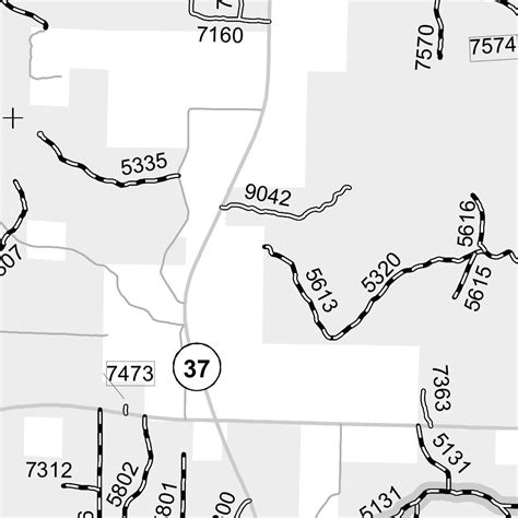 Huron-Manistee NF MVUM Cadillac Manistee East Map by US Forest Service ...