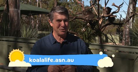 SAPN Koala Life story on Outdoors Indoors TV | Koala Life