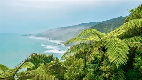 New Zealand - Coastline - Southern Island Stock Image - Image of ...