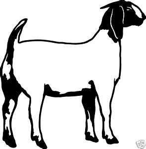 BOER Goat 4 Decals Farm Animal Window Stickers 6"