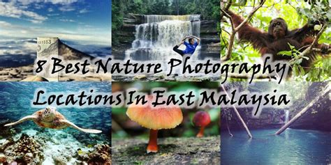 8 Best Wildlife Photography Locations In East Malaysia - DISCOVER JB ...