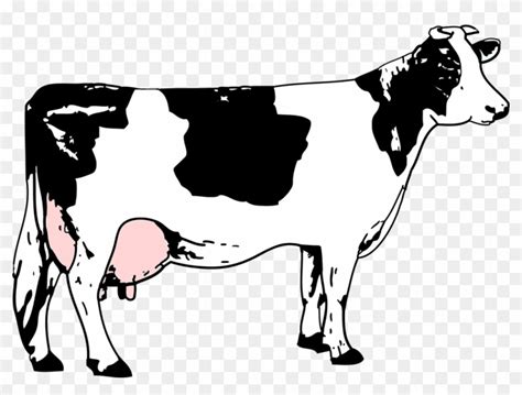 Holstein Cow Vector at Vectorified.com | Collection of Holstein Cow ...