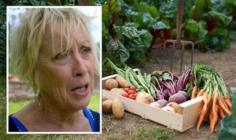 Carol Klein: Gardening expert shares her top tips for growing ...