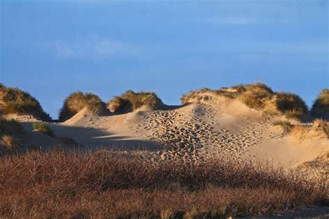 Crosby Beach by stevecornforthphotography | ePHOTOzine