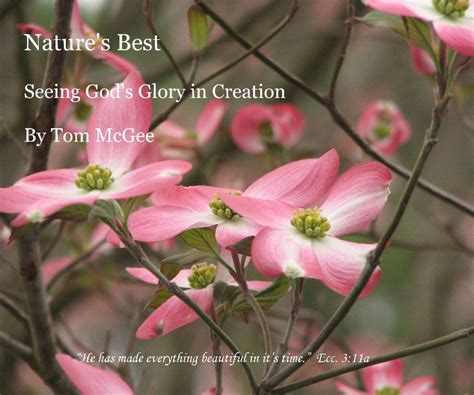 Nature's Best Seeing God's Glory in Creation By Tom McGee by Tom McGee | Blurb Books