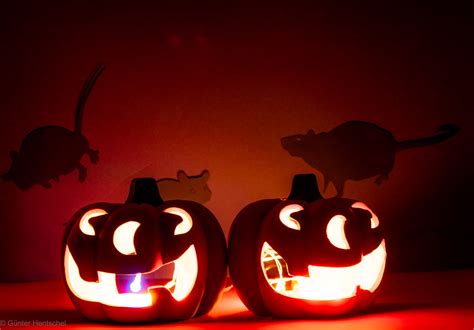 Halloween 2019 | Eigentlich hat man es doch Täglich mit selt… | Flickr