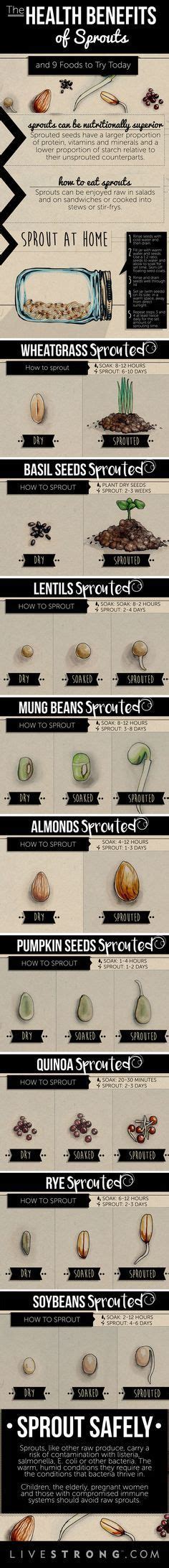 The Health Benefits of Sprouts and 9 Foods to Try Today | Sprouts, Health benefits, Health