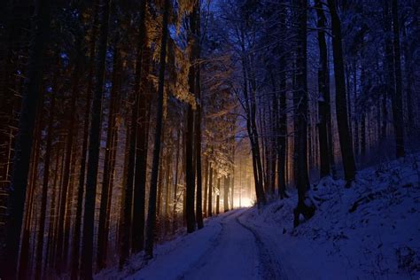 Dark Winter Forest Wallpapers - 4k, HD Dark Winter Forest Backgrounds ...