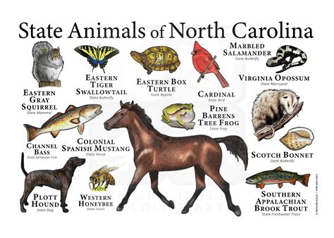 North Carolina State Animals Poster Prnt | Etsy