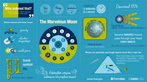 New Measurements of Muon’s Magnetic Moment Strengthen Evidence of New Physics | Physics | Sci ...