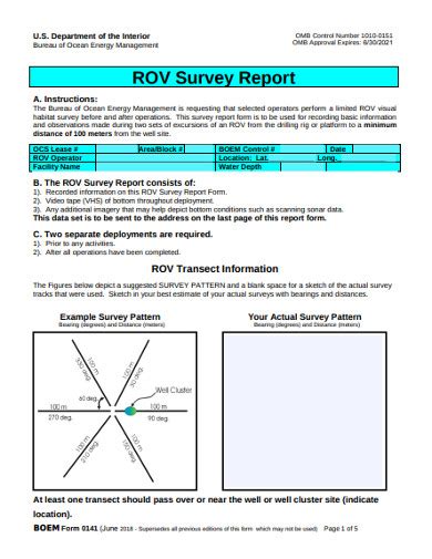 Survey Report - 17+ Examples, Format, Docs, Word, Pages, Pdf