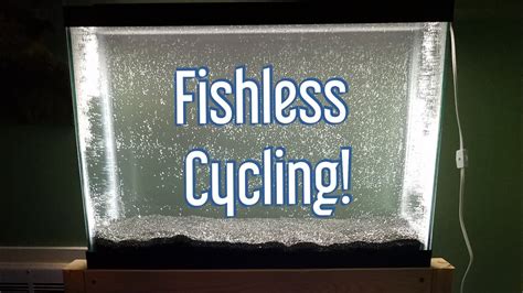 Fishless Cycling an Aquarium - YouTube