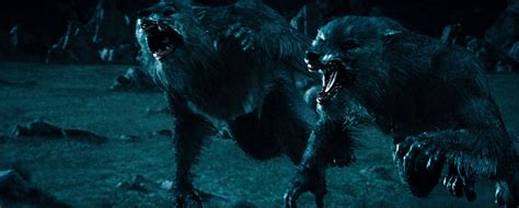 Werewolf | Underworld Wiki | FANDOM powered by Wikia