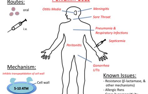 Clinical use of penicillin antibiotics