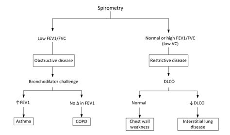 Obstructive Lung Disease — Medlibes: Online Medical Library