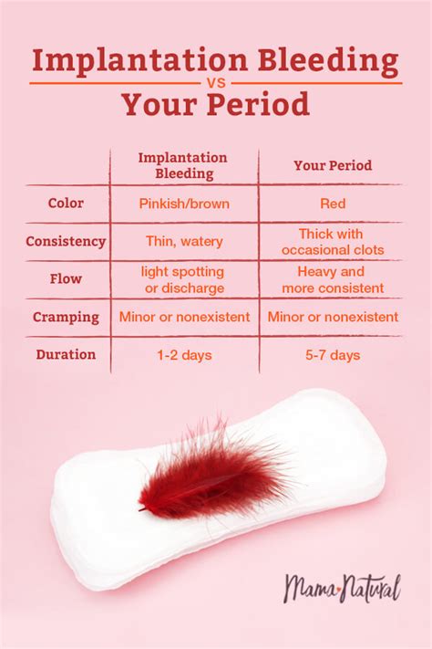 Implantation Bleeding: What It Is and What to Look For (Photos!) (2022)