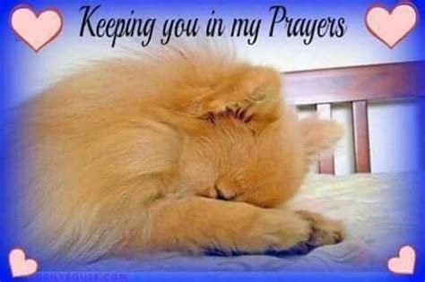 Pin by Angela Runnels on prayer gifs for Facebook groups | Dog praying, Animals, Praying puppy