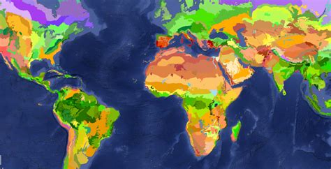 12 Extraordinary Facts About Ecoregion - Facts.net