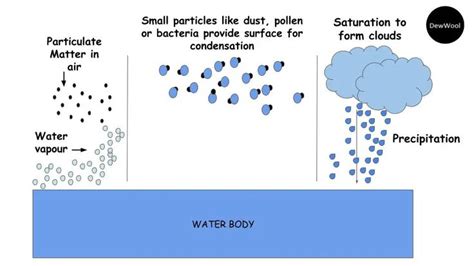 Condensation - DewWool in 2021 | Condensation, Distillation process, Precipitation