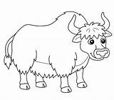 40  Yak Coloring Pages Free Printable PDF & Online sketch template