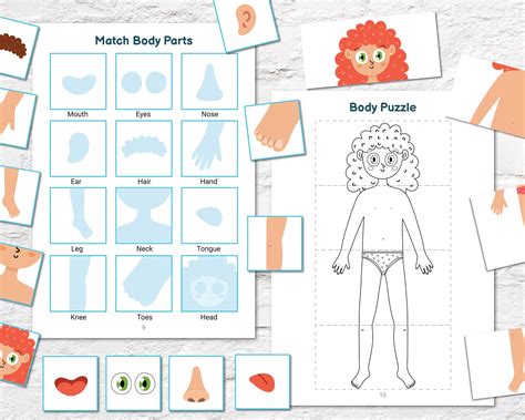 Busy Book Printable Body Parts Toddler Busy Book Quiet | Etsy