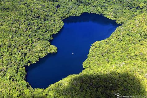 The Rock Islands in Palau & Infos about Jellyfish Lake (Palau)