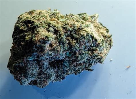 Lemon Cherry Gelato | Cannabis Strain Review [November 2023]