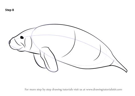 Learn How to Draw a Sea Cow (Marine Mammals) Step by Step : Drawing ...