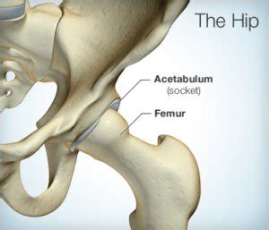 Why Does My Hip Hurt? 8 Causes of Hip Pain - New Mexico Orthopaedic Associates