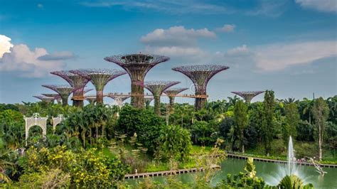 Super-tree Park is Landmark Singapore at Day. Cityscape is Colorful Show To Lighting at Marina ...