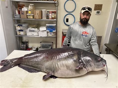 Man Breaks His Own Blue Catfish State Record | Outdoor Life