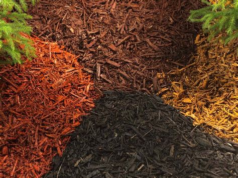 What is the Best Mulch for Vegetable Garden