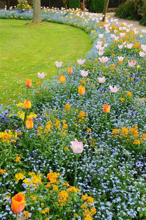 Flower bed stock photo. Image of pretty, lawn, grass - 19541052