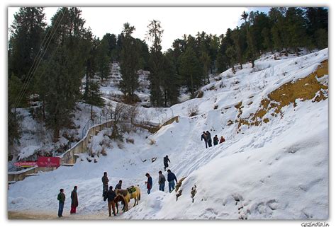 go2india.in : Snow in Kufri near Shimla