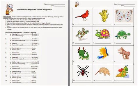 Plant Dichotomous Key Worksheet Worksheets For All | Dichotomous key, Science student, Teaching ...