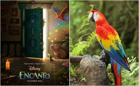 La nueva película de Disney "Encanto" destaca la guacamaya